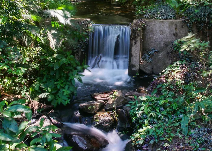 Lodge Buena Vista Del Rincon Eco Adventure Park &