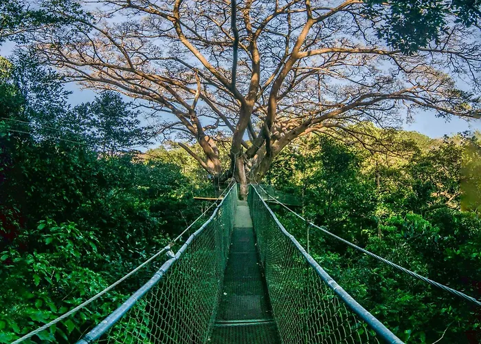 Buena Vista Del Rincon Eco Adventure Park &