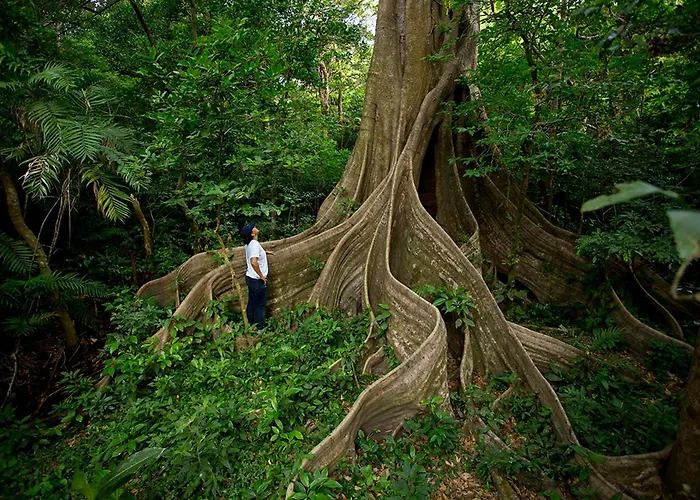 Buena Vista Del Rincon Eco Adventure Park & Lodge