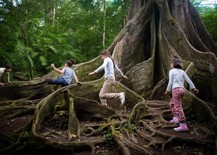 Lodge Buena Vista Del Rincon Eco Adventure Park &