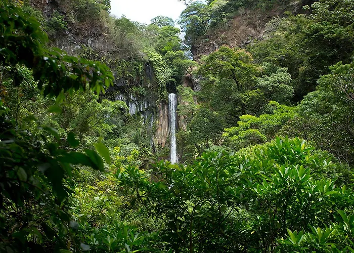Lodge Buena Vista Del Rincon Eco Adventure Park & *
