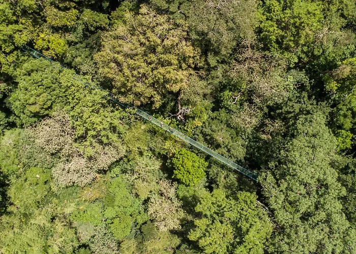 Buena Vista Del Rincon Eco Adventure Park & Lodge *
