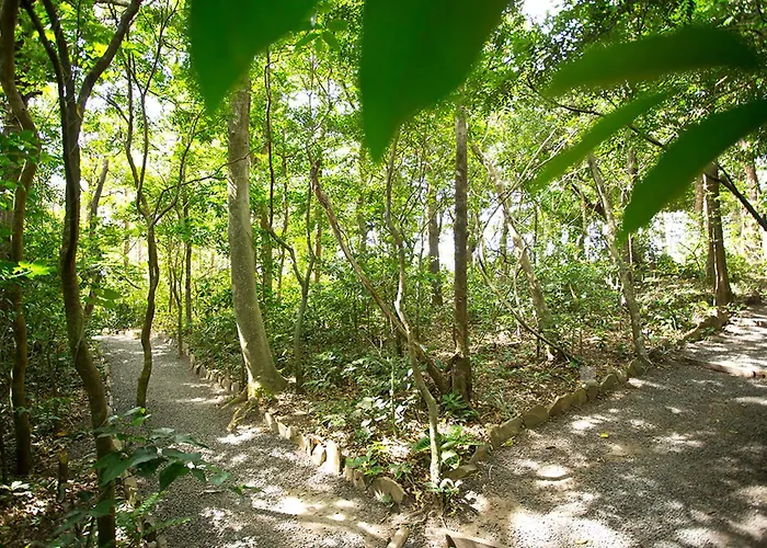 Buena Vista Del Rincon Eco Adventure Park & Liberia