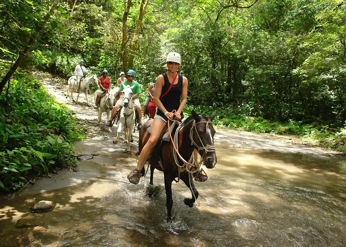 Buena Vista Del Rincon Eco Adventure Park & Lodge